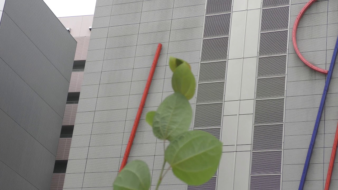 I wish I was an artist, Tria-3, Stephan Antonakos, Japan