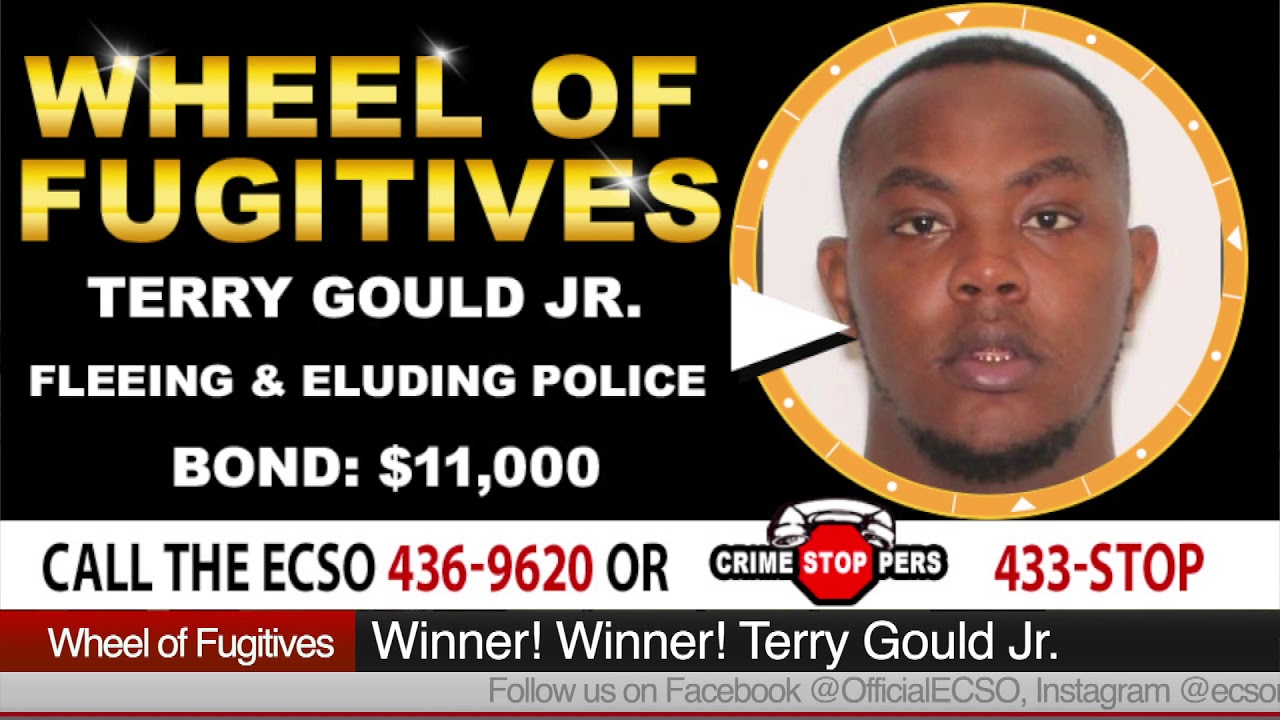 WOF 132 Terry Gould Jr YouTube