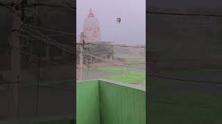 history  of bihar #bhiar #ytshorts lala 👍🏻