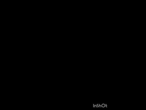 سوره التكاثر بصوت القاريء بلال عيناوي