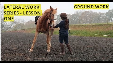 GROUND WORK - THE LATERAL WORK SERIES - LESSON ONE