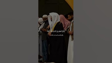 ياسر الدوسري سورة النمل #quran_karim_chromatics #اكسبلور #لايك
