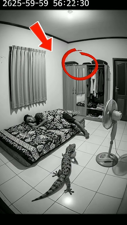 Clearly Caught on CCTV Camera is a TOKET as Big as a TOBRUT #shorts #viral #fyp #gecko