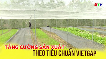 Tăng cường sản xuất theo tiêu chuẩn Vietgap | BTV - TRUYỀN HÌNH BÌNH DƯƠNG