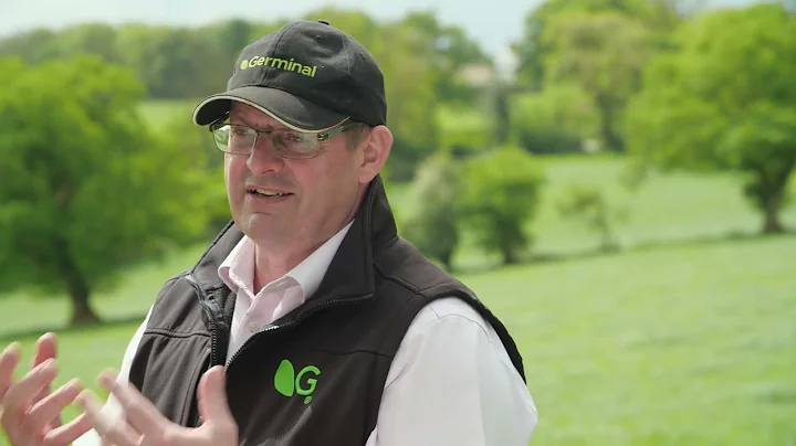 Organic Dairy Farming: Sustainability, Efficiency and Profitability