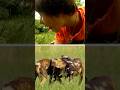 Bu kız köpekler tarafından büyütüldü! #storytime