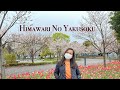 Himawari No Yakusoku || Music Video || AnnGee