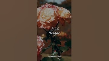 آيات بينات من الذكر الحكيم 🌺🌼💐