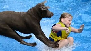 Labradors Are Awesome Part 2: Compilation Labradors Are Awesome Part 2: Compilation