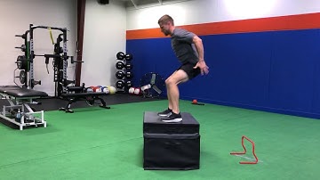 Hurdle Jump to Box Jump