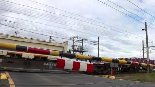 ECO-POWER桃太郎 高速貨物A EF210-11号機[岡]牽引1060レ 沼津駅～片浜駅間通過