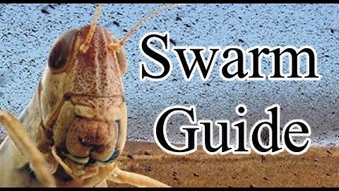 Pathfinder Swarm Guide