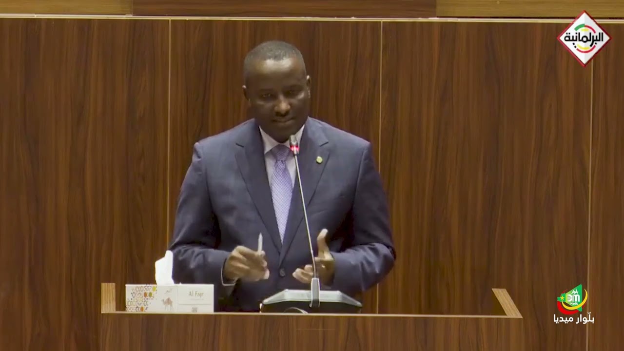 ردود وزير العدل محمد ولد اسيودات على مداخلات النواب