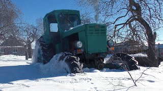 Забрали Т40АМ для установки нового двигателя. Выбираемся из снежного плена на советском тракторе!!!