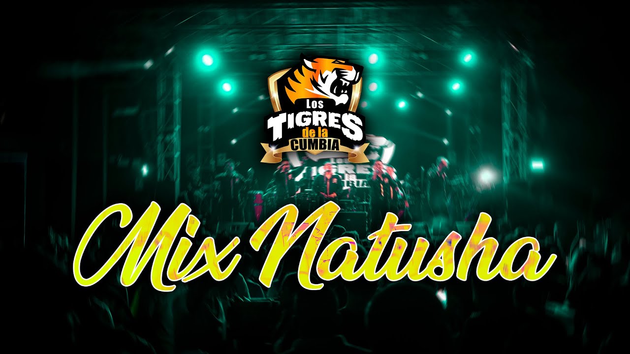 Mix Natusha - Los Tigres de la Cumbia ( En vivo )