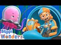 Ocean |🌊🐠 Blippi Wonders | Learning Videos for Kids - Explore With Me!