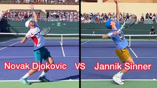 Novak Djokovic vs Jannik Sinner Serve Comparison (Tennis Technique Explained) Net Worth