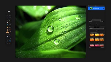 How To: Clone Objects in Photos on OS X w/Pixelmator