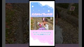 パパのライブin大阪