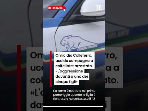 Video Omicidio Colleferro, uccide compagna a coltellate: arrestato davanti a uno dei cinque figli