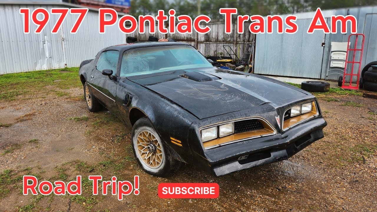 1977 Pontiac Trans Am - Road Trip