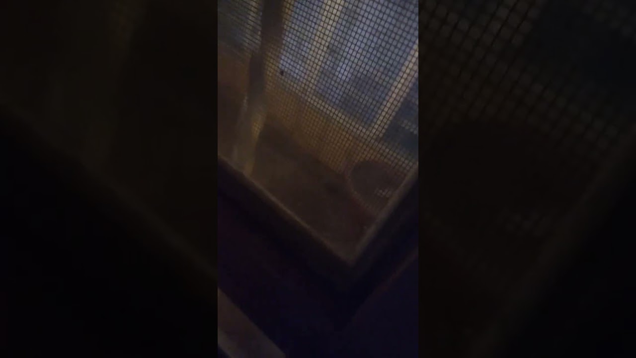 21 de noviembre de 2023