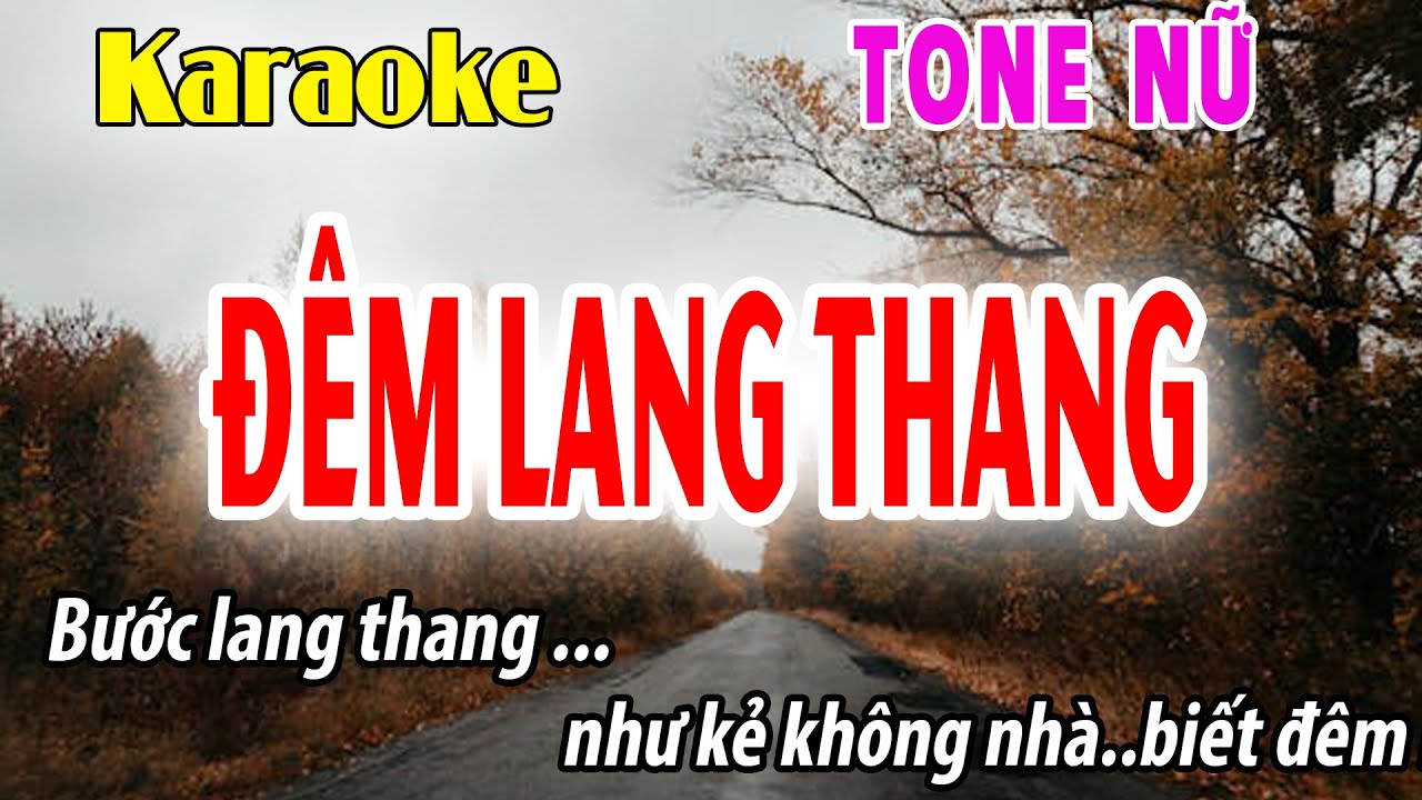 Karaoke Đêm Lang Thang Tone Nữ | Dm | Đời Sống và Âm Nhạc