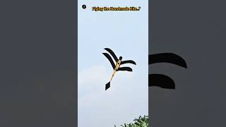 “Insane Grasshopper Kite Flying Test 🪁🔥 (Handmade Kite Part 3)”