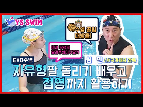 자유형 팔돌리기 배우고 접영까지 활용하기 ■전 수영 국가대표 심민감독 -수영의 달인을 찾아서 2화-