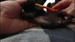 VID 20250727 200300557