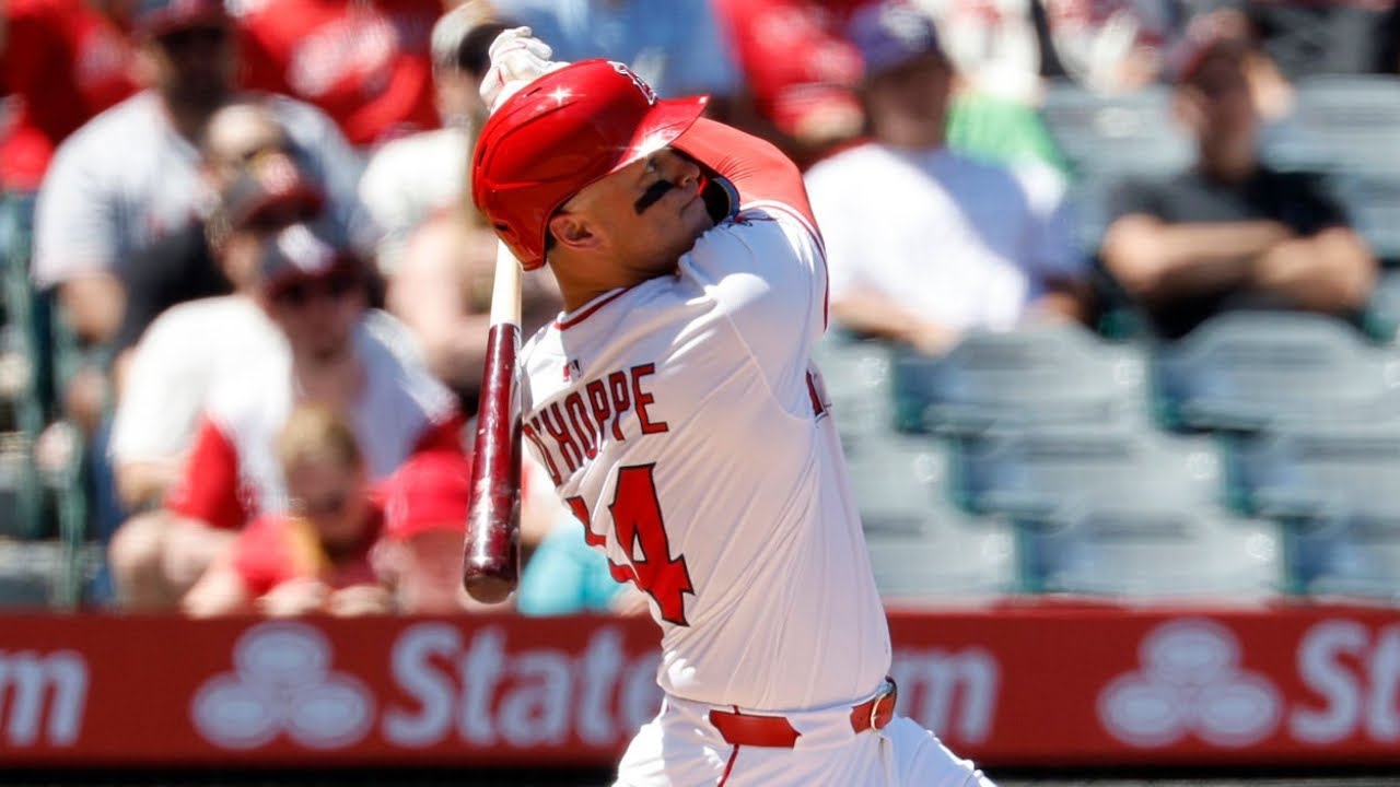 Logan O'Hoppe 2025 Highlights! (Spring Training)