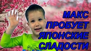Макс пробует Японские сладости Посылка с конфетками и печеньками| КФ Мисс Кэти и Мистер Макс Ms Katy Макс пробует Японские сладости Посылка с конфетками и печеньками| КФ Мисс Кэти и Мистер Макс Ms Katy