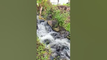 Bán vườn cây ăn trái có ao hồ, có suối đá tuyệt đẹp ở Bà Rịa Vũng Tàu#shorts