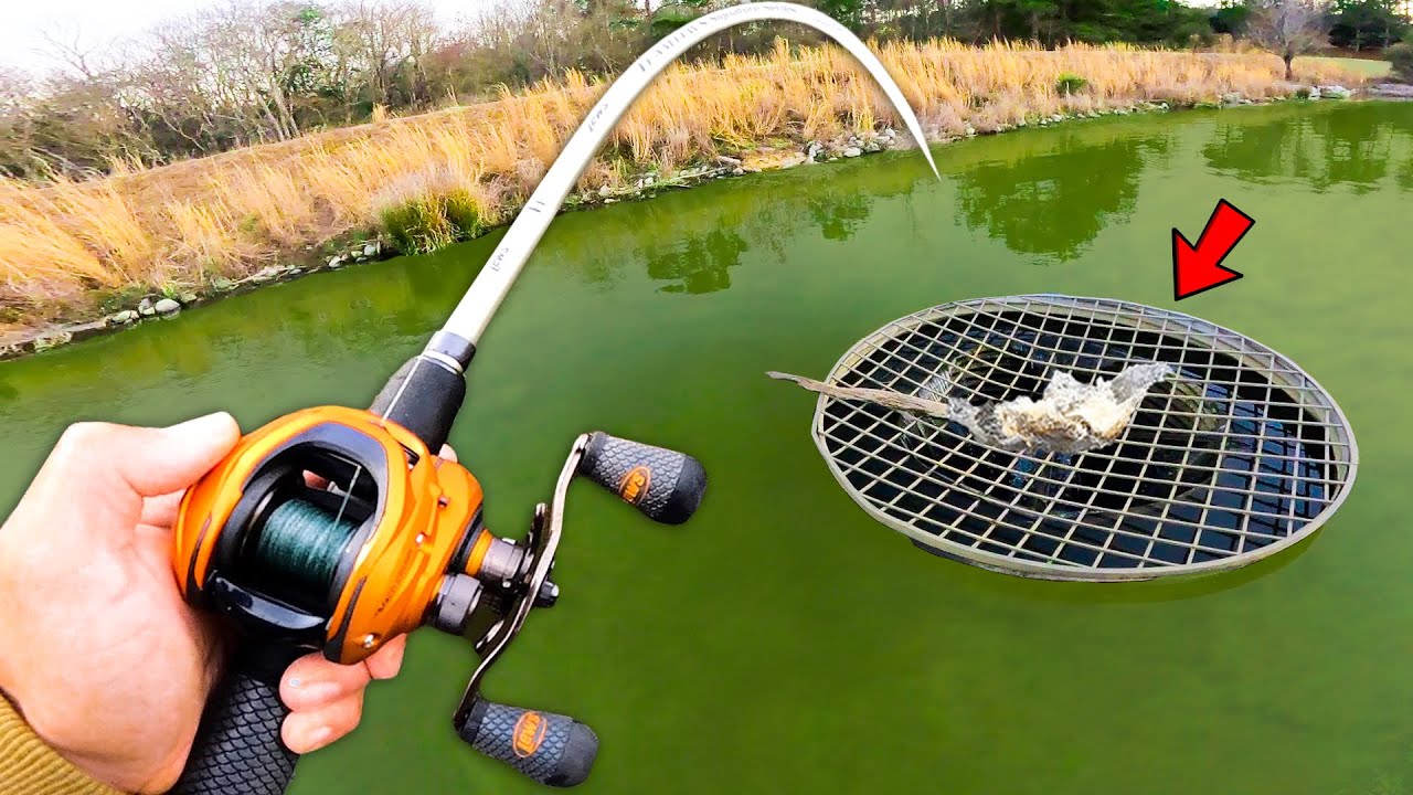 Fishing The BEST Bass Lake In The WORLD! (LOADED) - YouTube