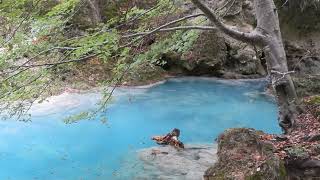 Nacedero del Urederra. Source of Urederra river.