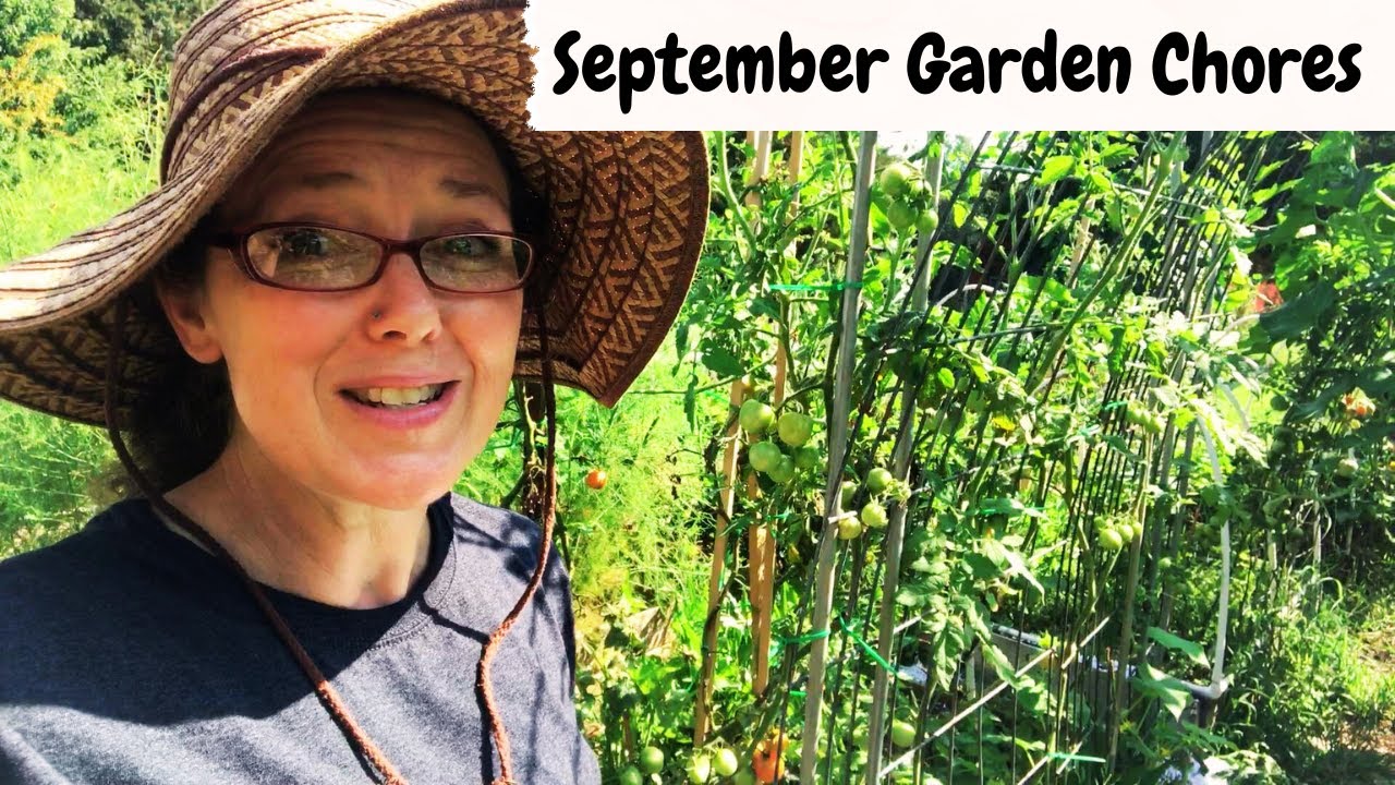 September Gardening Tasks for a Productive Fall Season Garden Cleanup