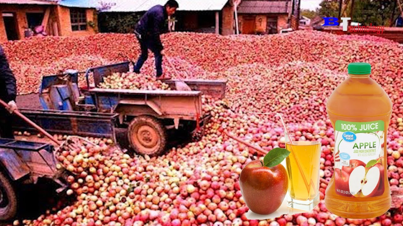 ⁣How is Apple Juice Produced, Modern Fruit Juice Production Process Saves Millions of Dollars