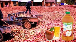 How Is Apple Juice Produced, Modern Fruit Juice Production Process Saves Millions Of Dollars