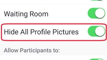 Meeting Hide All Profile Pictures in ZOOM Could Meetings