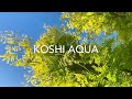 Koshi chimes  koshi aqua tuned wind chimes  koshi bells meditation music 2020