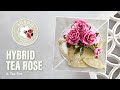Spellbinders hybrid rose  teapot by susan tierneycockburn howto