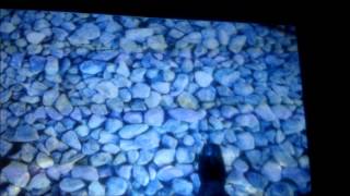 Interactive floor by SLI