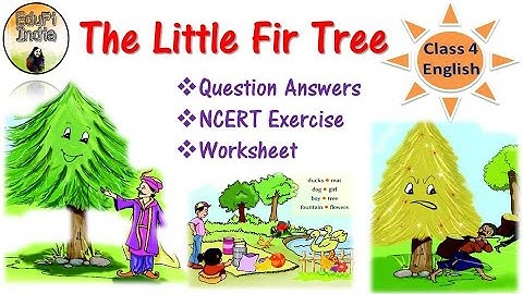 The Little Fir Tree|Question Answers| NCERT Exercise| Class 4 English| Worksheet By Himanshi Sharma