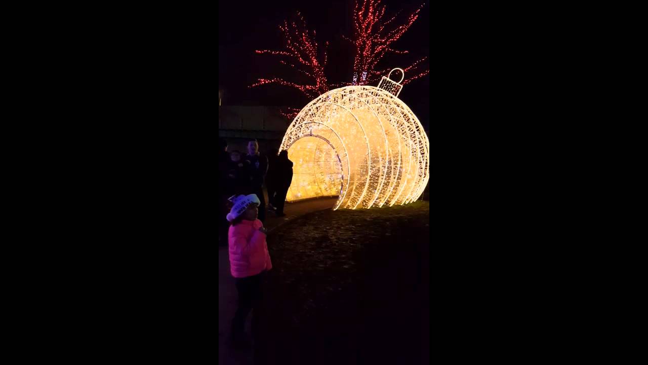 Christmas Lights in Rosemont 2015 YouTube