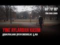 Yine Aylardan Kasım Anatolian Psychedelic Lab Psychedelic Anatolian Rock 70 S Revival 
