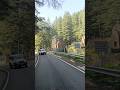 jageshwar dham beautiful road views #shorts #viral #nimkarolibaba # naintal #jageshwar