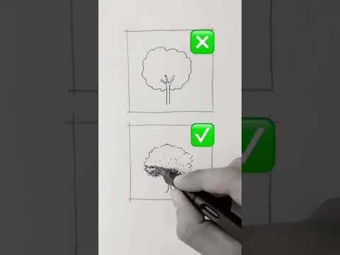 كيف ترسم شجرة بطريقة صحيحة     