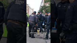 Details Have the NYC sewer divers returned⁠ People seen climbing out of manhole News