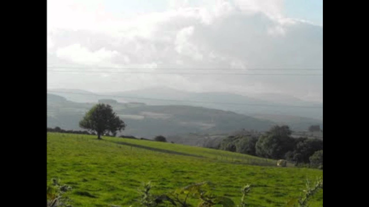 MÉZ - Battle for Aughrim (Bold Fenian Men)