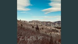 The Night We Met - Lennon VanderDoes